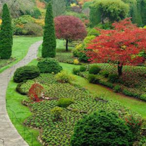 Jack's Lawn & Landscape