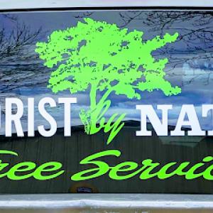 Arborist by Nature tree service