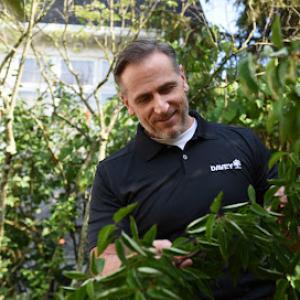 The Davey Tree Expert Company