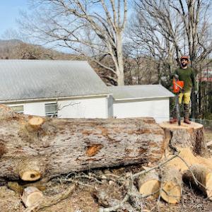 Bosky Land & Tree Care