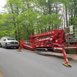 Top Notch Tree Care