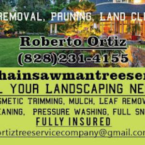 Chainsaw man tree service
