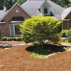 The Other Side Property Maintenance