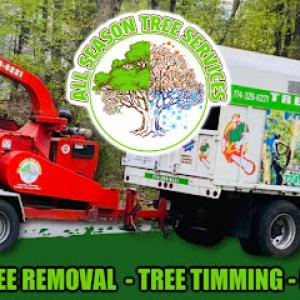 All season tree services