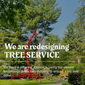 Sasa's Tree Care & Landscaping