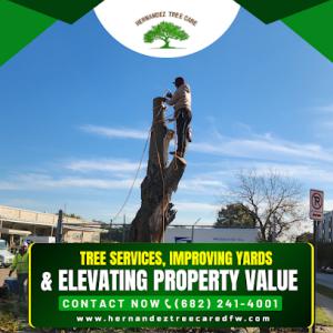 Hernandez tree care
