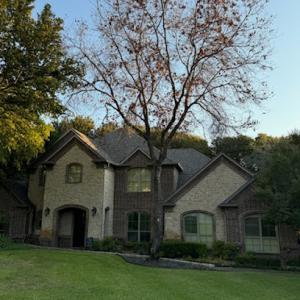Next Generation Landscaping & Tree Service