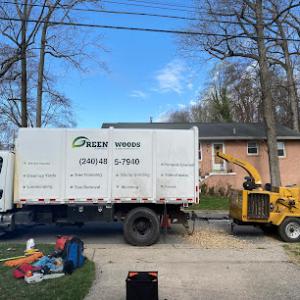 Green Woods Tree Service