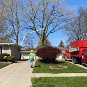 Total Tree Care