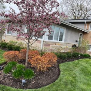Landscaping Express First
