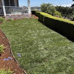 Montes de Oca Gardening