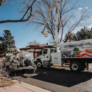 Environmental Tree Care