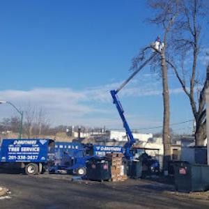 O'Brother Tree Service