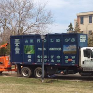 Arnoldo's Tree Service