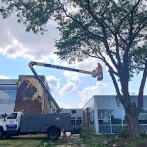 R & D Tree Service