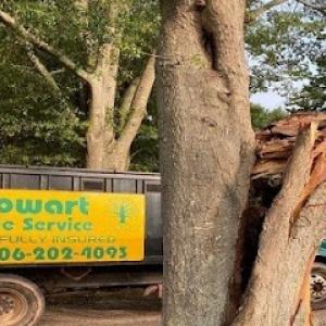Cowart Tree Service