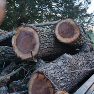 Smith tree removal & lawn Care