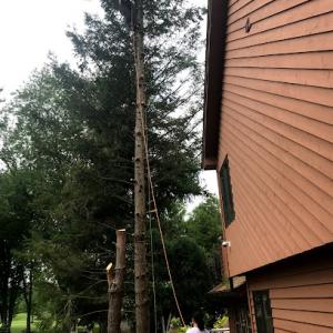 M&RG Tree Service