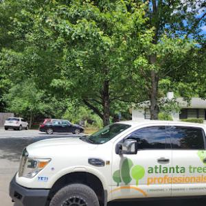 Atlanta Tree Professionals