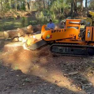 Dylan's Tree Services & Landscaping