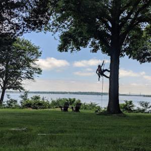 Stanley Tree Service