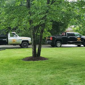 Twin Oaks Tree Care