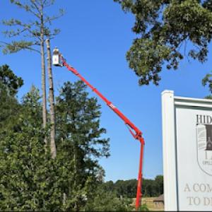 Tip-Top Tree Service