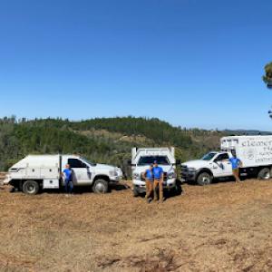 Elements Tree Service