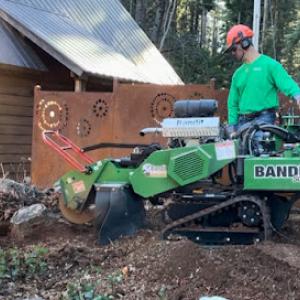 Loomis Stumpgrinding