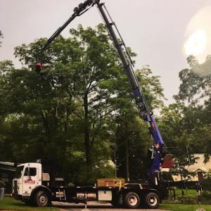 Cranebrook Tree Service & Tree Farm