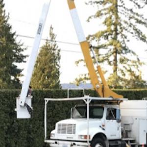 Infinity Tree & Outdoor Services