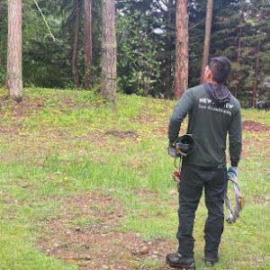 New View Tree & Landscaping