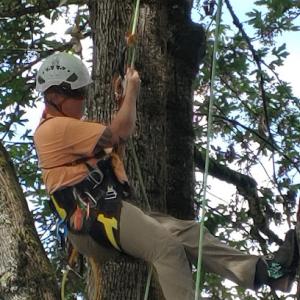 A & M Tree Service NW