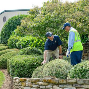 U.S. Lawns - Lakeland