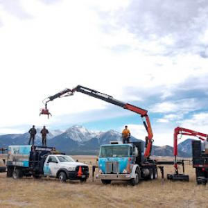 Splintered Forest Tree Services