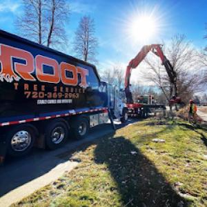 Root Tree Service