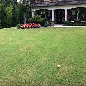 Architect Design Landscape