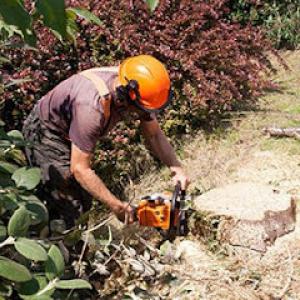 Cal State Tree Service