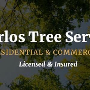 Carlos Tree Service