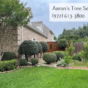 Aaron's Tree Service
