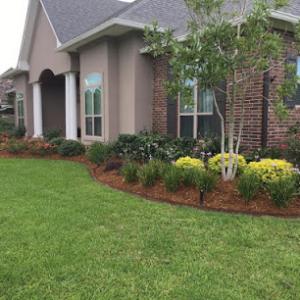 Pristine Lawn & Landscaping