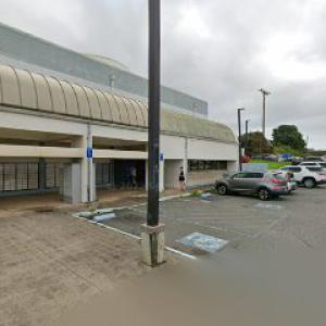 HITS (HI Island Tree Service)