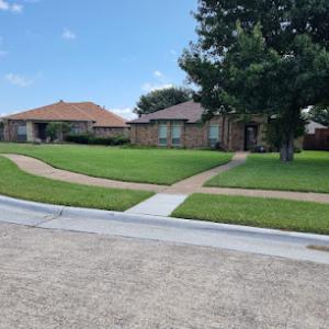 Texas Professional Gardeners