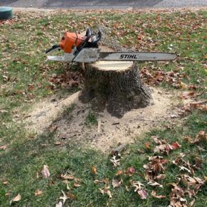 On The Grind Stump Removal