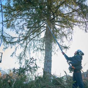 Edwin's Landscaping & Tree Experts