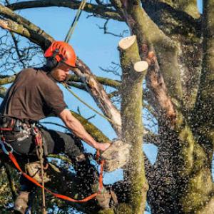 JCS Landscaping Services