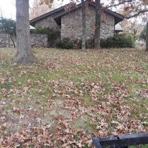 H&J Tree & Yard Service