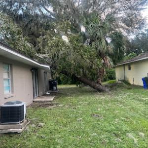 All Weather Tree Service