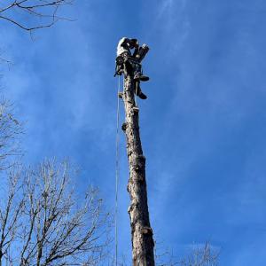 Blue Sky Outdoor Services