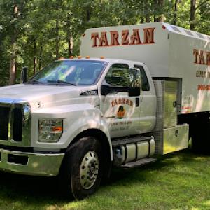 Tarzan Expert Tree & Lawn